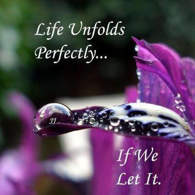 LET THE LIFE UNFOLD ITSELF